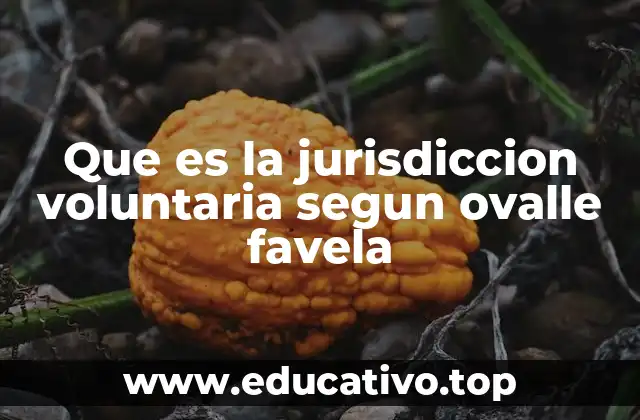 Que es la jurisdiccion voluntaria segun ovalle favela