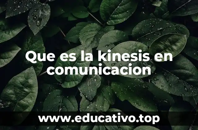 Que es la kinesis en comunicacion