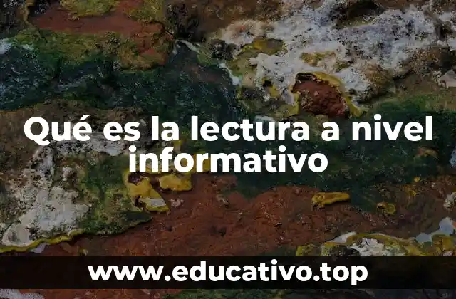 Qué es la lectura a nivel informativo