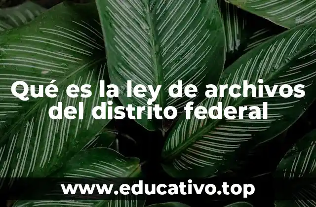 Qué es la ley de archivos del distrito federal
