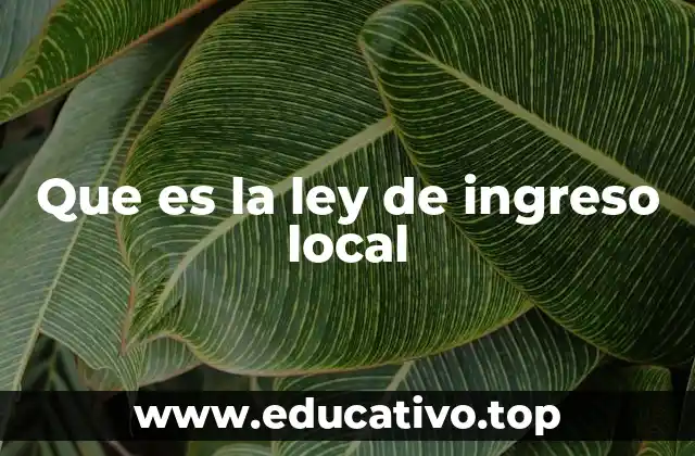 Que es la ley de ingreso local