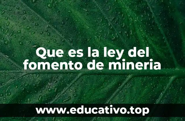 Que es la ley del fomento de mineria