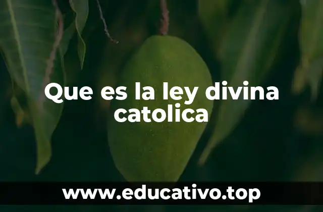 Fundamentos teológicos de la ley divina en la fe católica