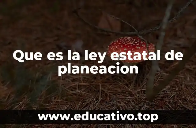 Que es la ley estatal de planeacion