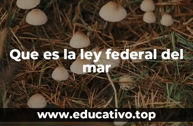 Que es la ley federal del mar