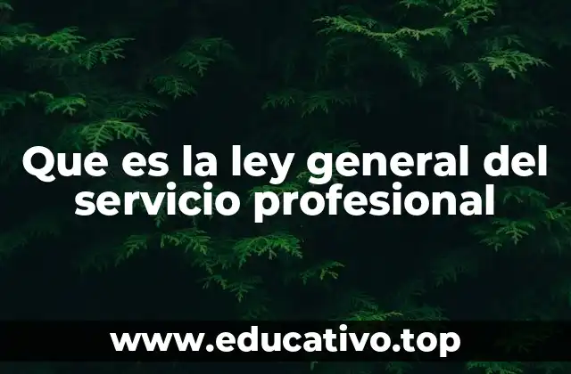 Que es la ley general del servicio profesional