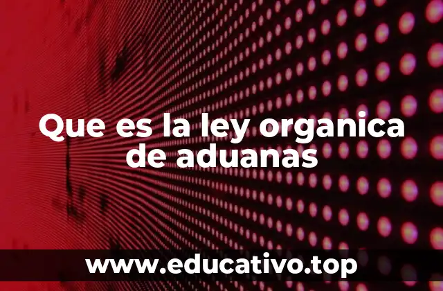 Cómo la ley organiza el funcionamiento del sistema aduanero