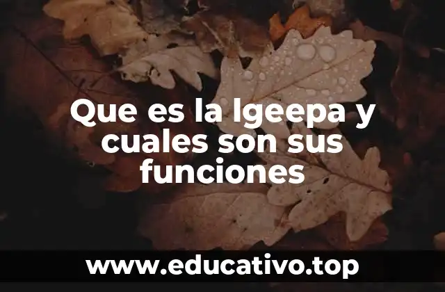 El papel de la LGEEP en la organización del sistema educativo