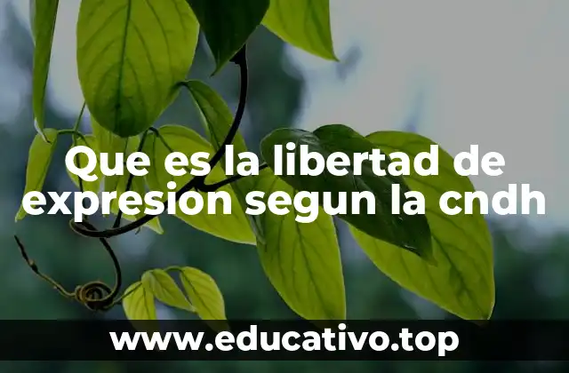 Que es la libertad de expresion segun la cndh