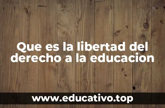 Que es la libertad del derecho a la educacion