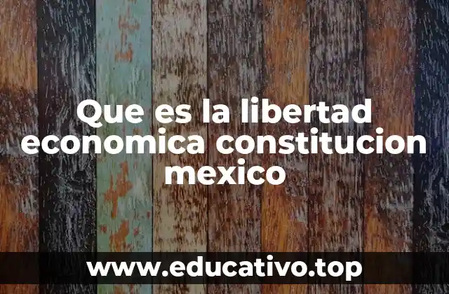 Que es la libertad economica constitucion mexico