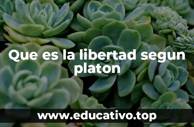 Que es la libertad segun platon