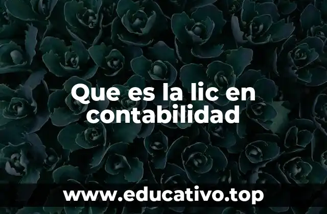 Que es la lic en contabilidad