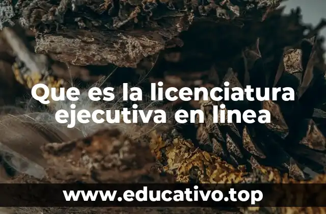 Que es la licenciatura ejecutiva en linea