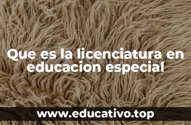 Que es la licenciatura en educacion especial
