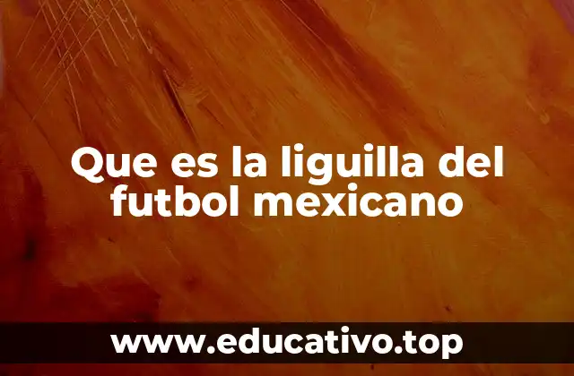 Que es la liguilla del futbol mexicano
