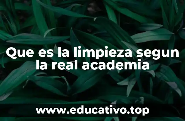 Que es la limpieza segun la real academia