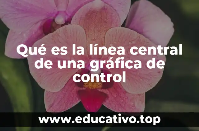 Qué es la línea central de una gráfica de control