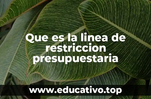 Cómo se construye y se interpreta la línea de restricción