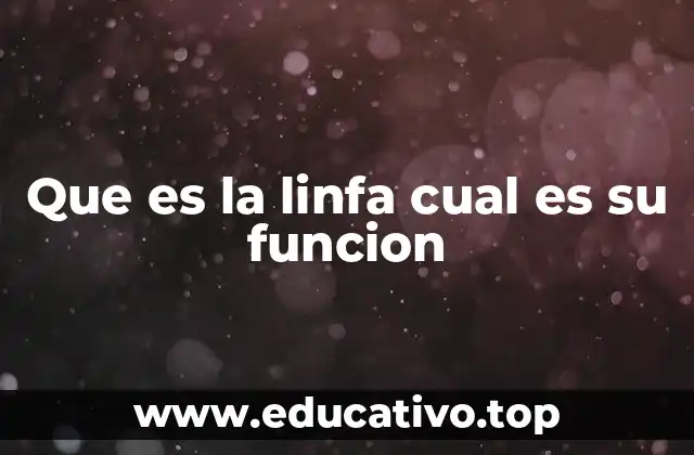 Que es la linfa cual es su funcion