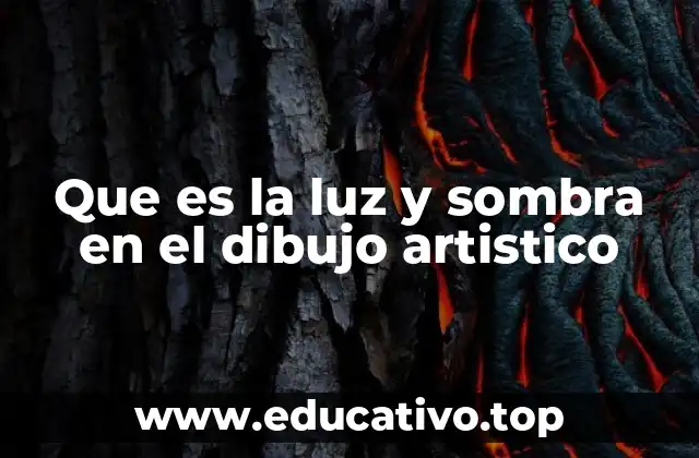 La importancia de la luz y sombra en la percepción visual