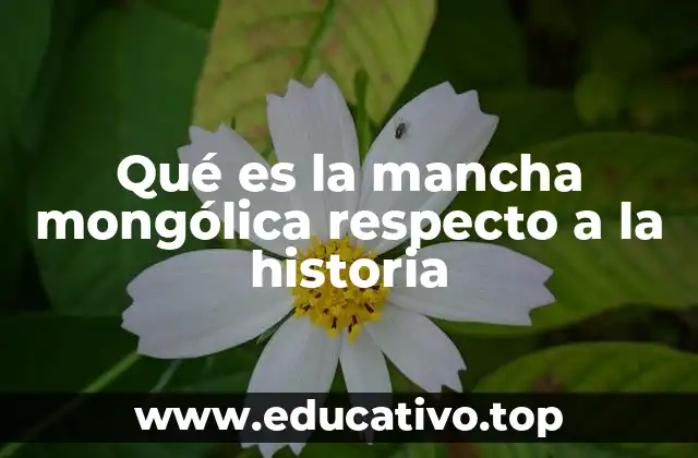 La mancha mongólica y su relevancia en la antropología
