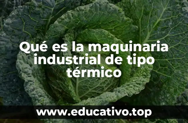 Qué es la maquinaria industrial de tipo térmico