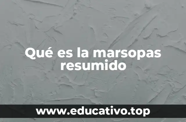 Características físicas y de comportamiento de las marsopas