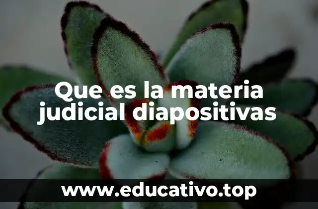 Que es la materia judicial diapositivas