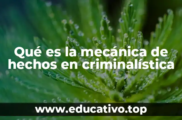 El rol de la mecánica de hechos en la investigación criminal