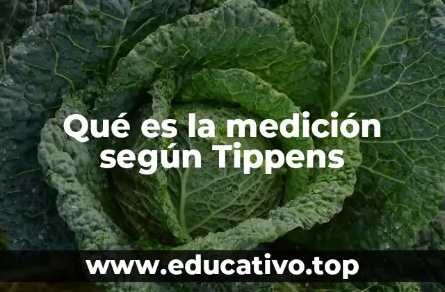 Qué es la medición según Tippens