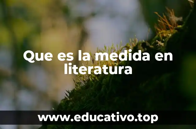 Que es la medida en literatura