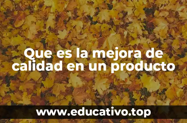 Que es la mejora de calidad en un producto