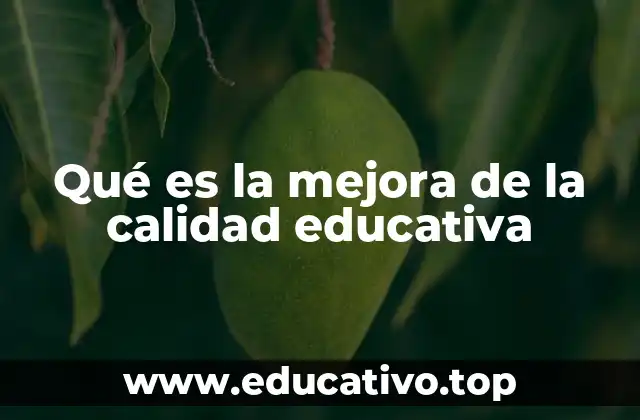 Qué es la mejora de la calidad educativa
