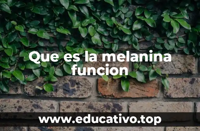 La melanina y su papel en la evolución humana