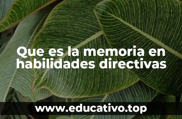 Que es la memoria en habilidades directivas