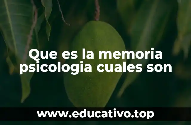 Que es la memoria psicologia cuales son