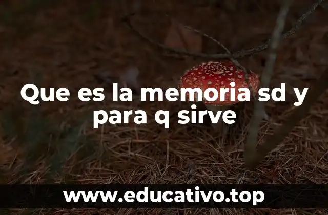 Que es la memoria sd y para q sirve