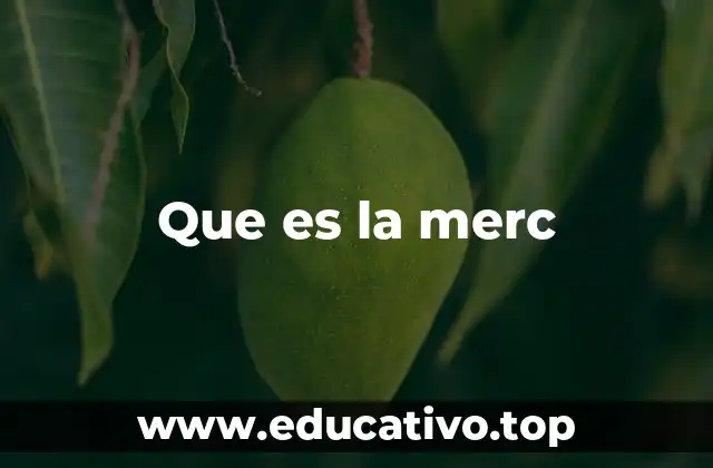 Que es la merc