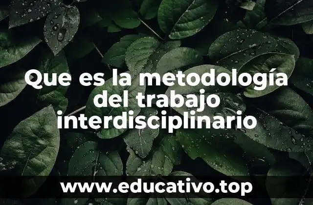 Que es la metodología del trabajo interdisciplinario