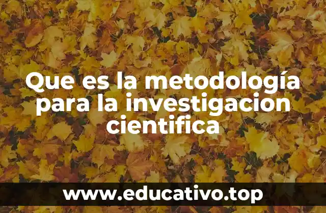Cómo se estructura una investigación científica