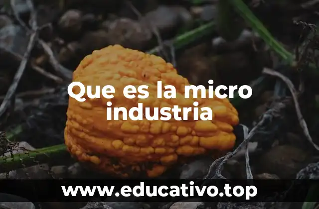 Que es la micro industria