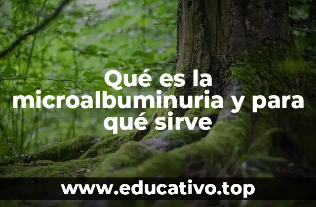 Cómo se detecta y qué revela sobre la salud renal