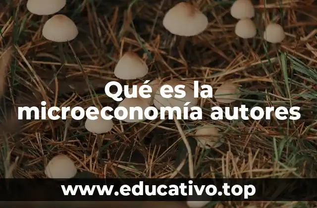 Qué es la microeconomía autores