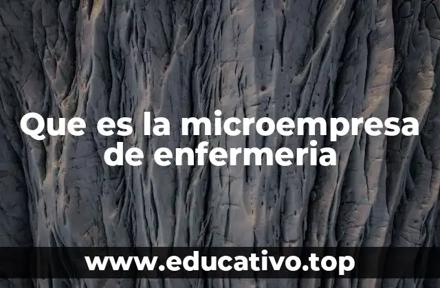 El rol de las microempresas en la atención sanitaria comunitaria