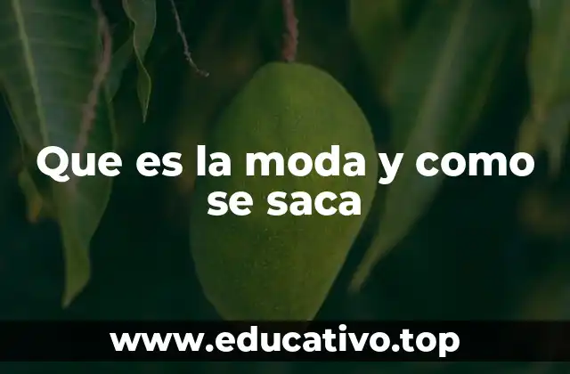 Cómo la moda se refleja en la sociedad contemporánea