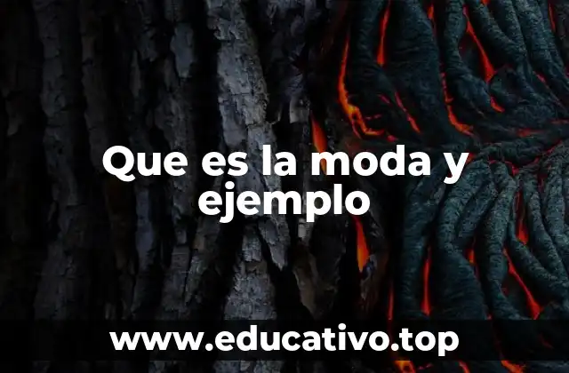 Que es la moda y ejemplo