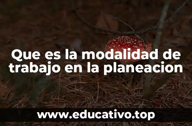 Que es la modalidad de trabajo en la planeacion