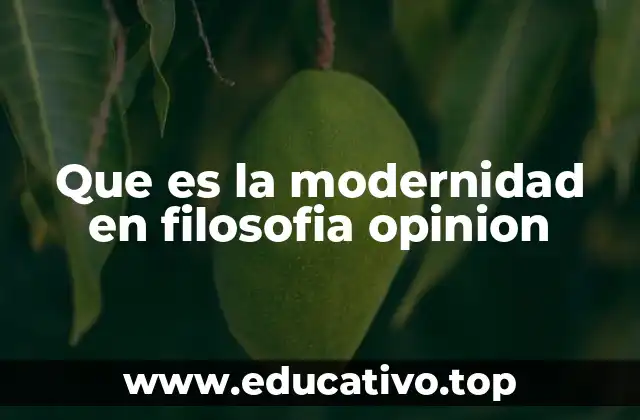 Que es la modernidad en filosofia opinion