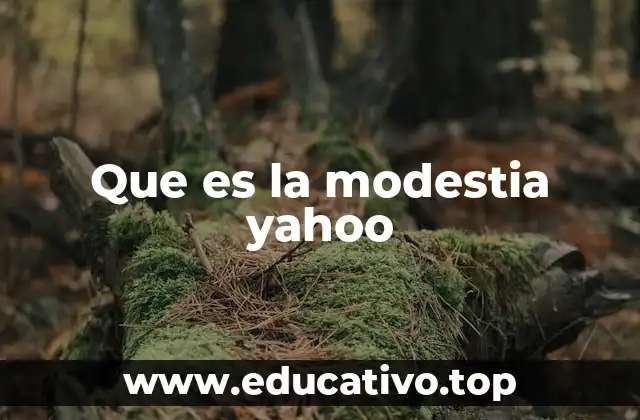 Que es la modestia yahoo